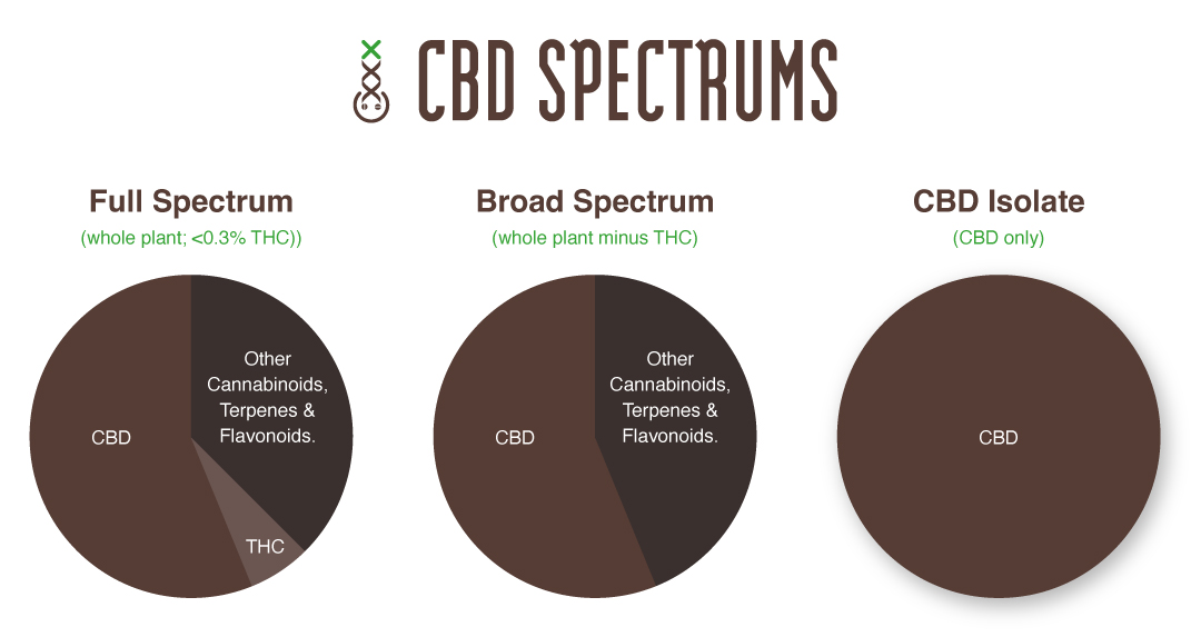 Wat Is Cannabidiol In Cbd Olie Supmedi